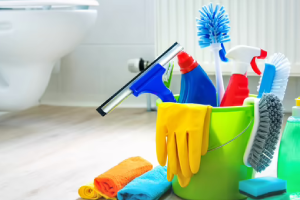 Messie Reinigung Göttingen